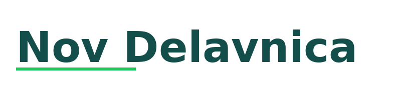 Nov Delavnica logo